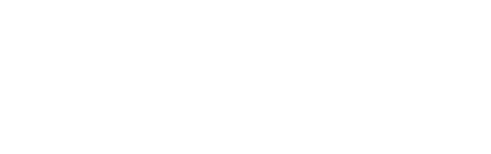 logo light